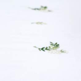 Mimosa Flower Tablecloth